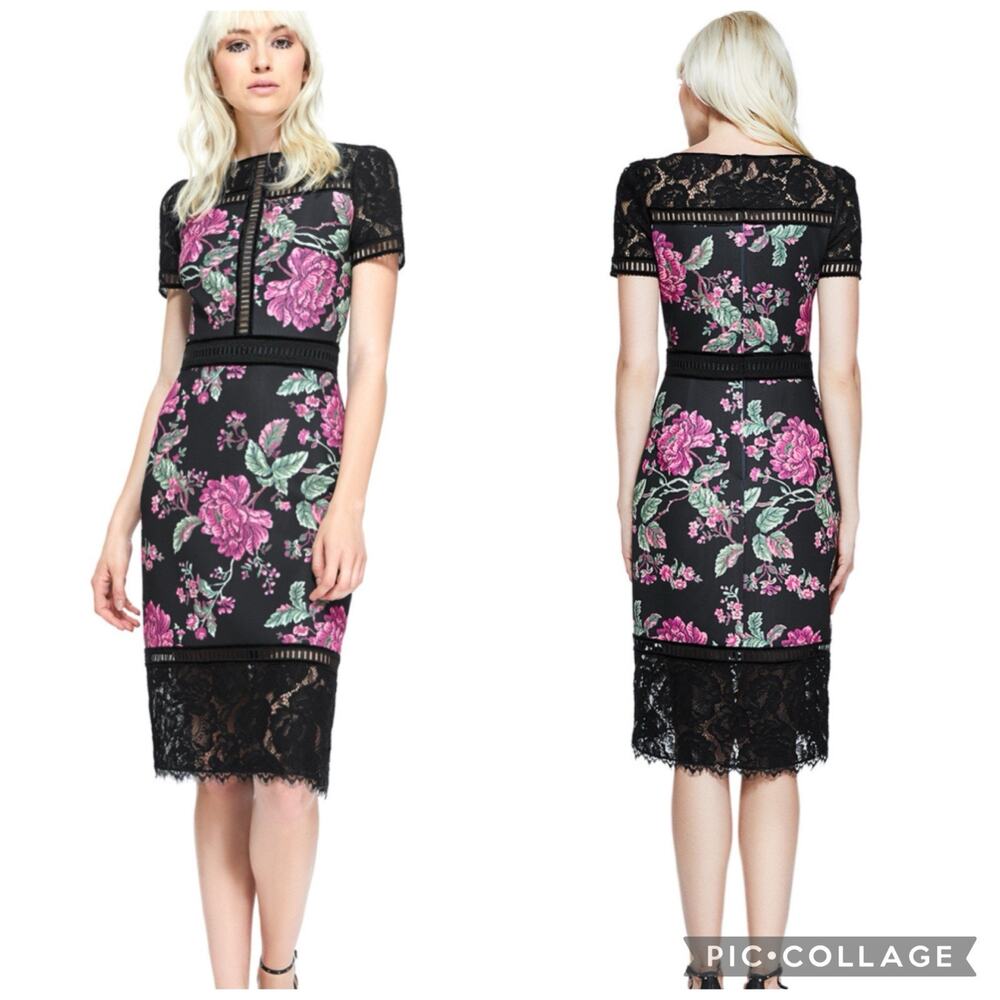 Tadashi Shoji Black and Pink Floral Lace Midi Dress
